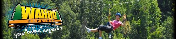 Zipline